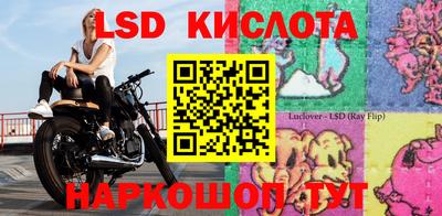 дмт Бийск