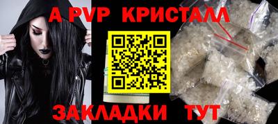 дмт Бийск