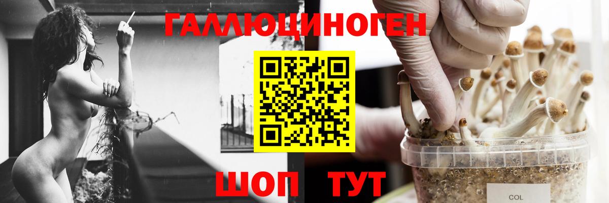 Галлюциногенные грибы Psilocybe  Вход с VPN  Карталы  Галлюциногенные грибы прущие грибы 